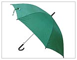Umbrella 1